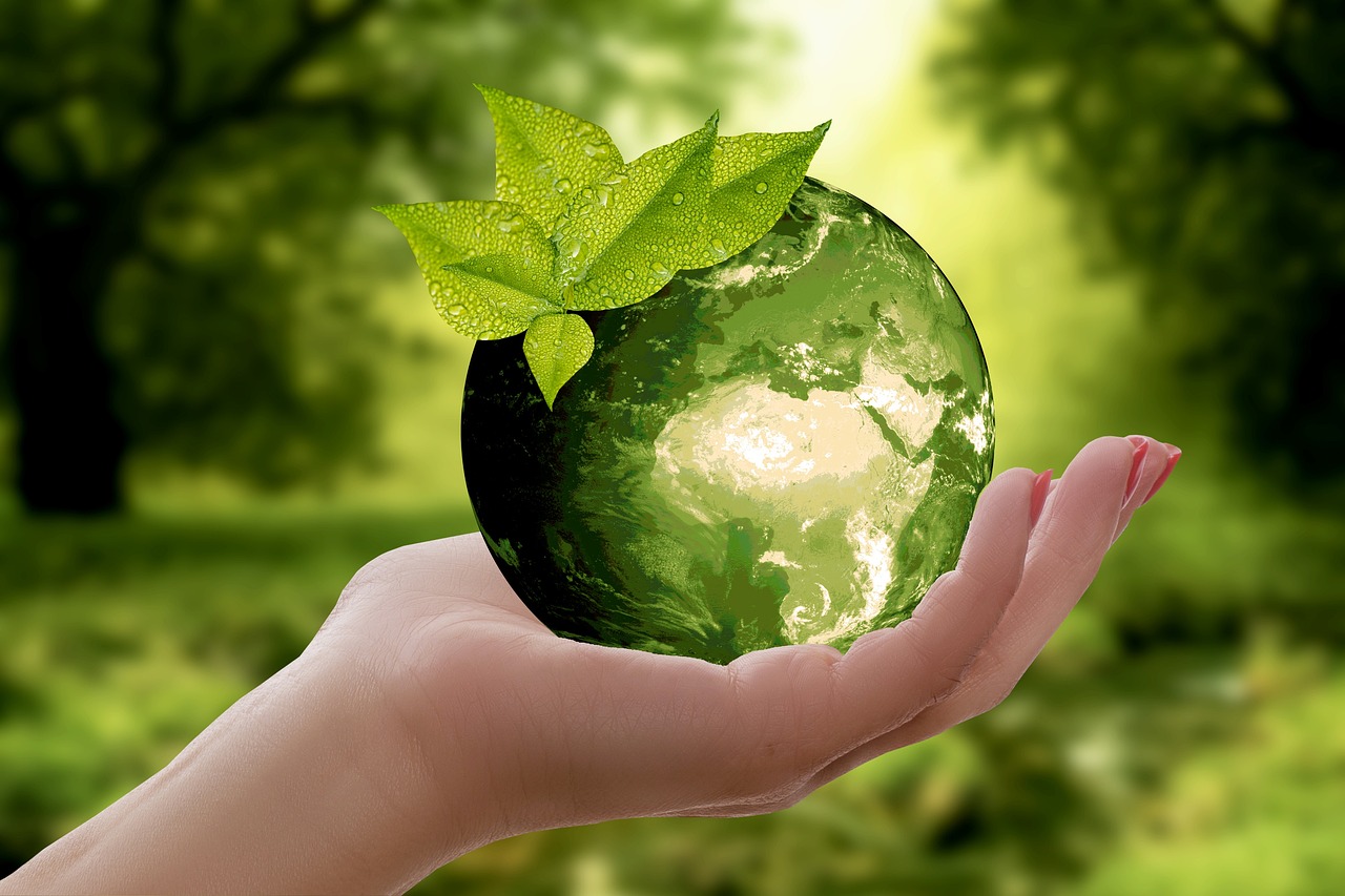 Services nature, earth, sustainability, leaf, caution, cycle, green, ecology, globe, world, sustainable, environment, protect, recycling, hand, keep, photomontage, composing, composition, fantasy, imagination, earth, earth, earth, sustainability, sustainability, sustainability, sustainability, sustainability, ecology, sustainable, recycling
